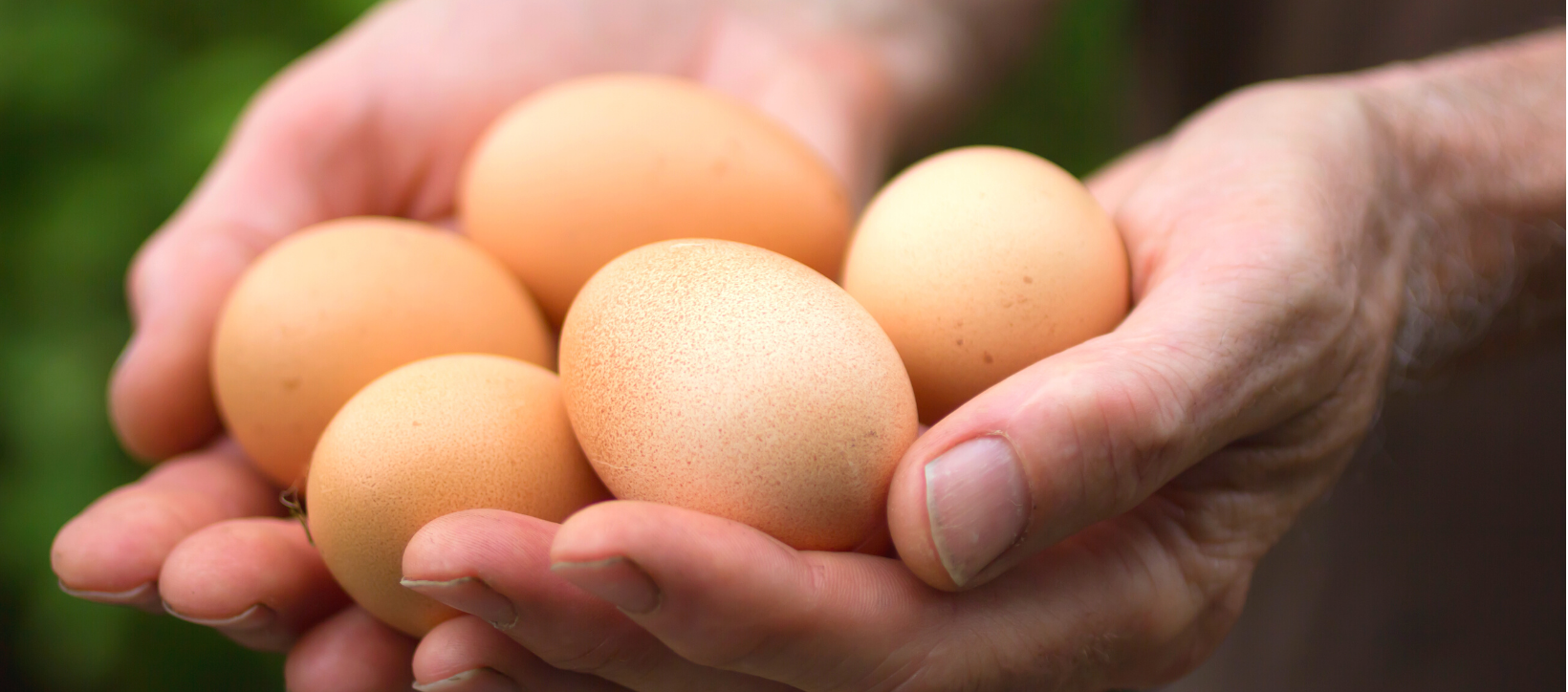 Everyday-Farm-Girl-Farm-Fresh-Eggs