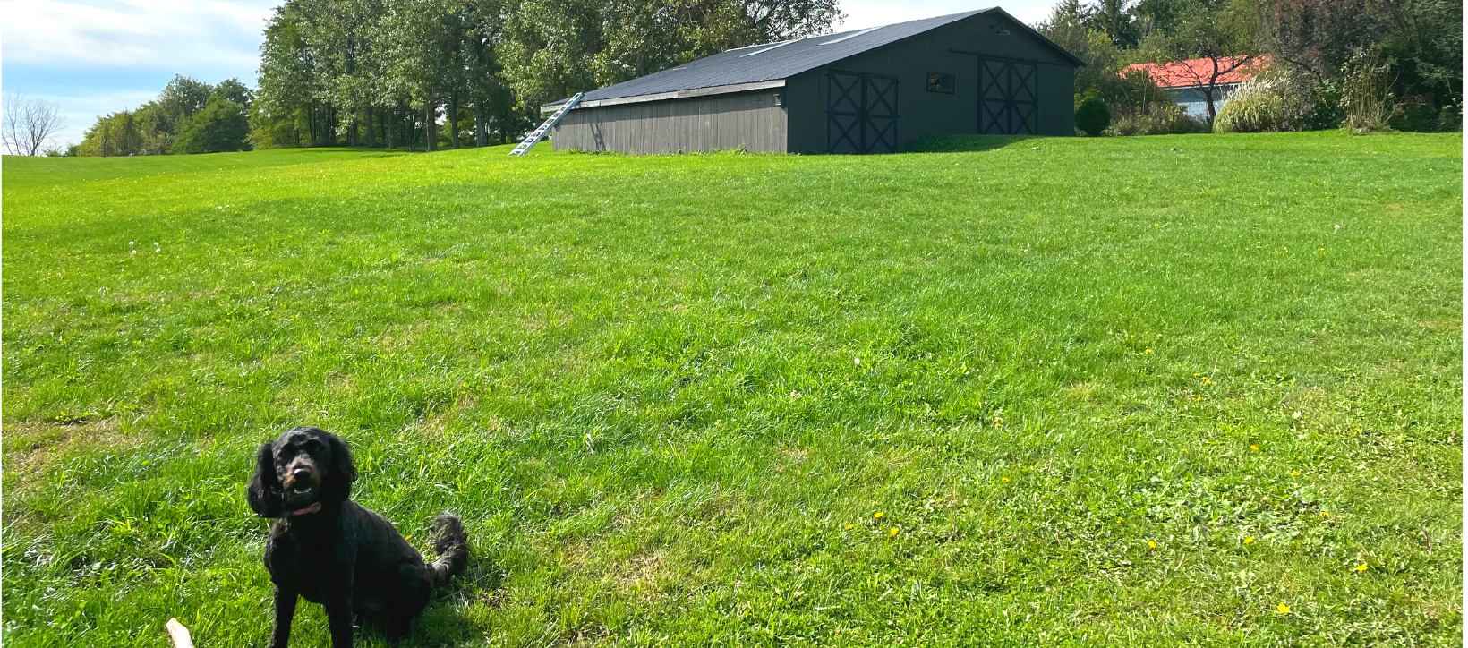 Everyday-Farm-Girl-Our-Homestead-Cover-Photo