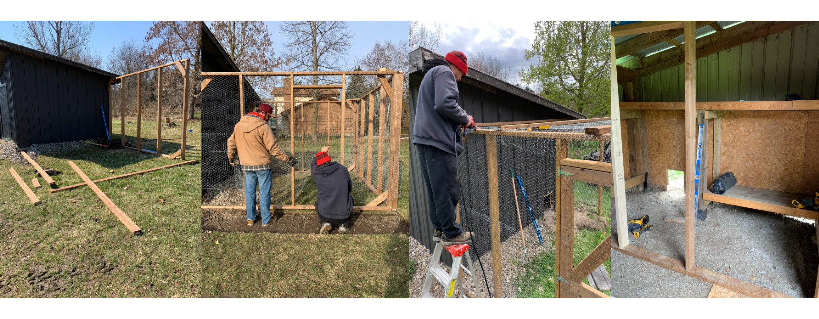 Building-A-Chicken-Coop