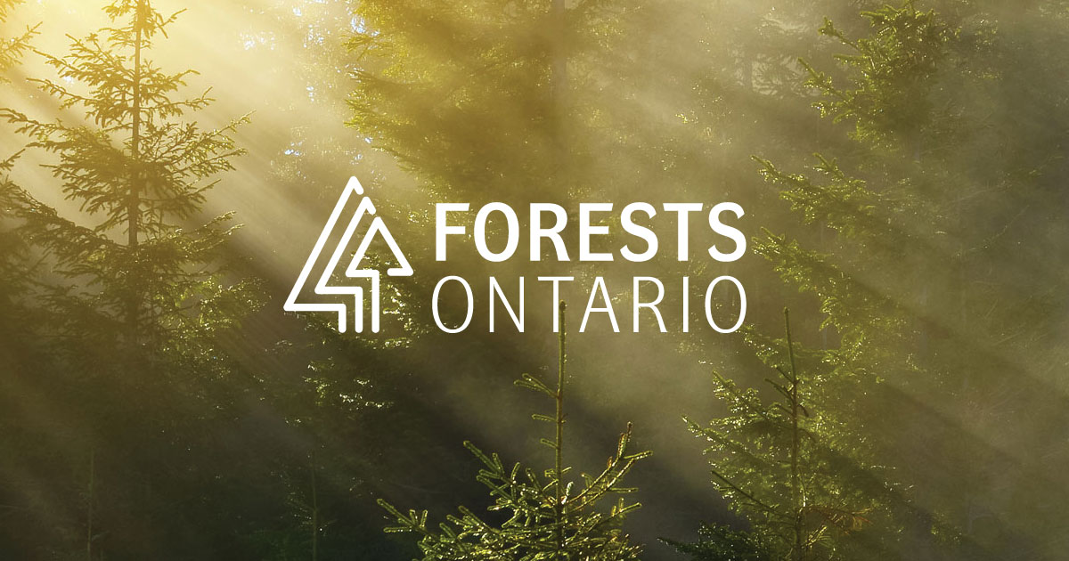 Forests-Ontario-Take-Action