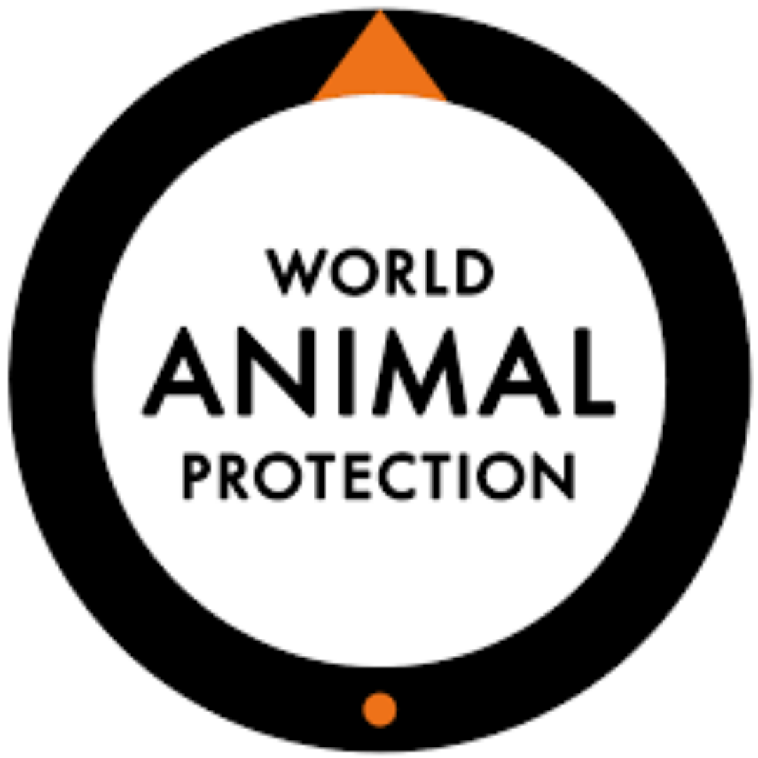 Take-Action-World-Animal-Protection